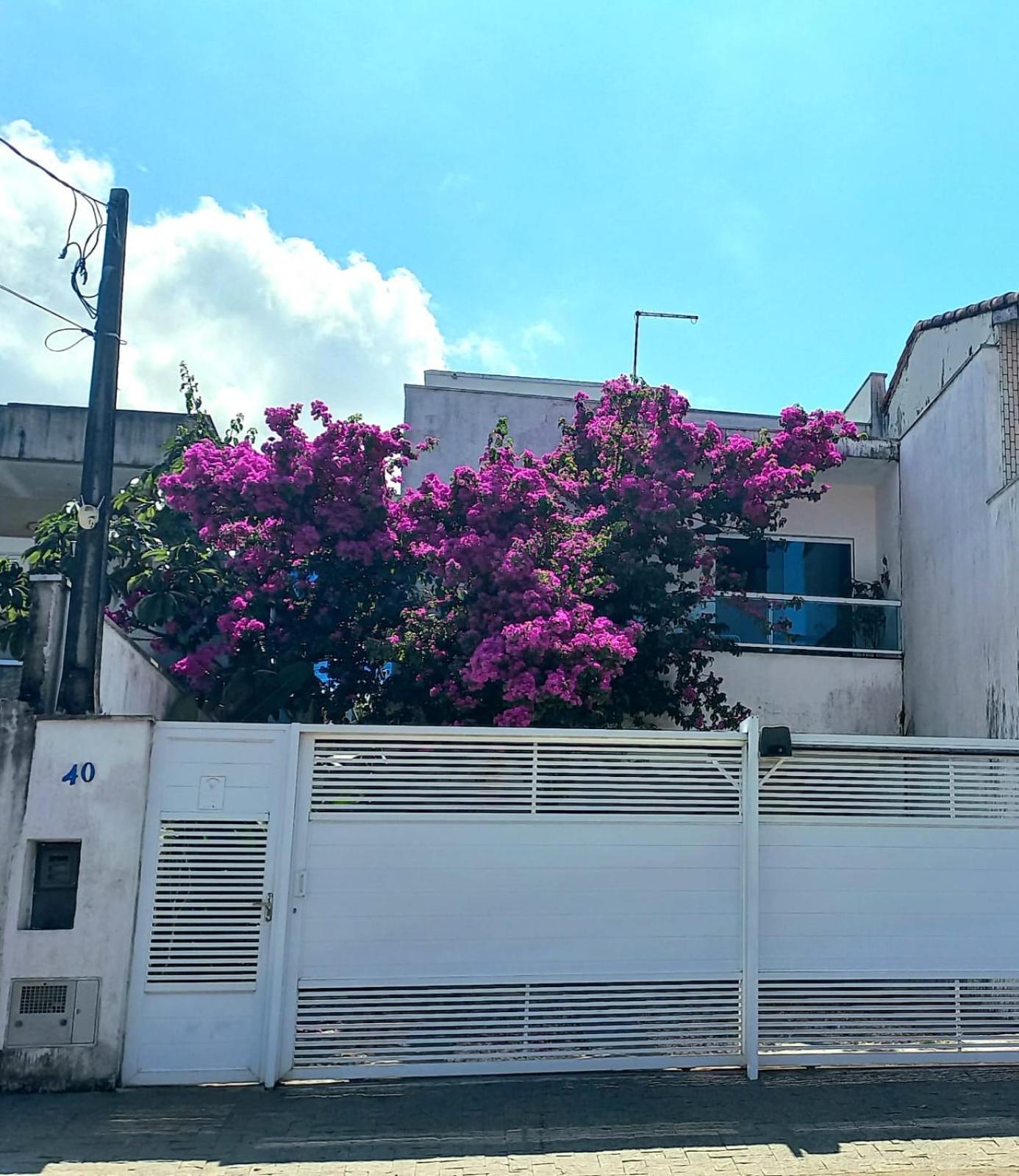 Char Ubatuba